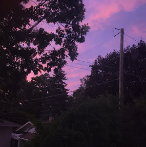 Meet your Posher, Zeinab